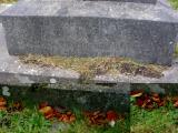 image of grave number 171019